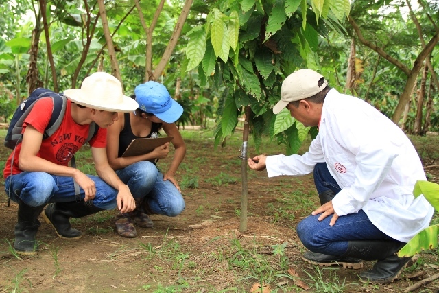 Ingeniería Agronómica