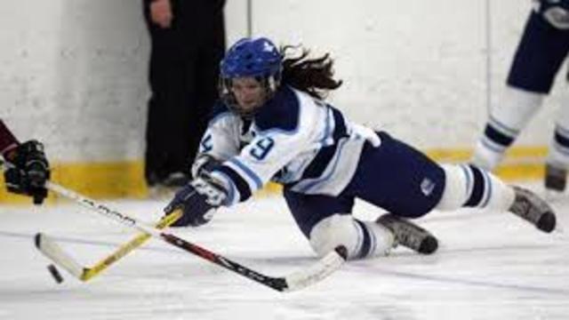 Made the high school hockey team