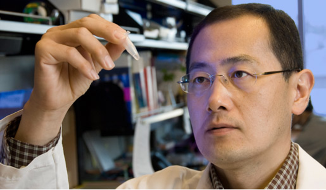 Shin'ya Yamanaka y las células iPS