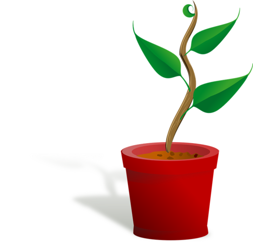 Internet Continues to Grow