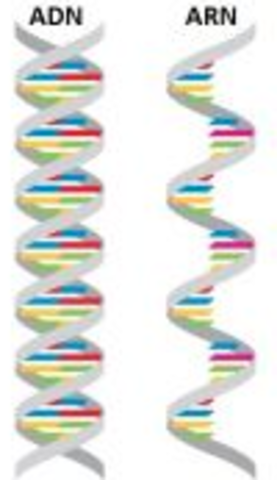 Comunidad científica