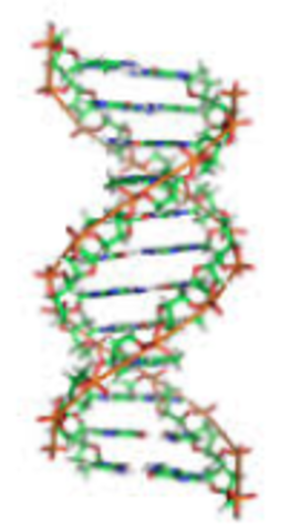 Caspersson y Hammersten