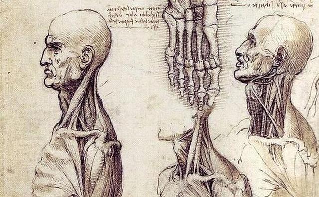 1490 Cuadernos de Anatomía Humana.