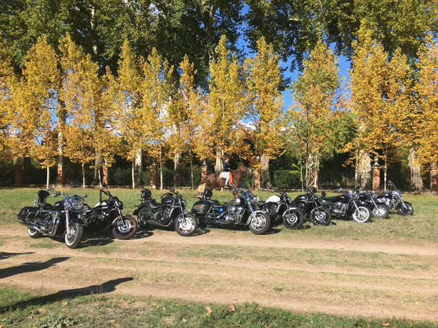 RUTILLA A ARANJUEZ Y VISITA A LAS BODEGAS FIGUEROA II