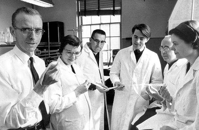 Comunidad científica