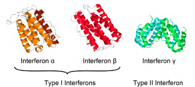 Interferones en enfermedades