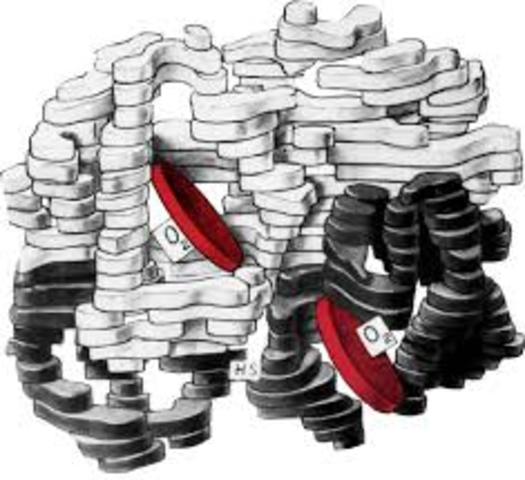 Kendrew y Max perutz