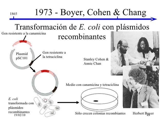 Stanley Cohen y Annie Chang