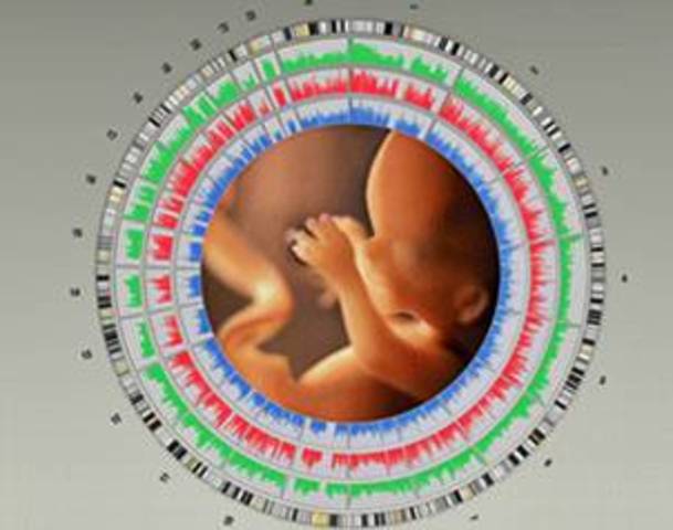 Primer diagnostico pre-natal con expresion de enfermedades