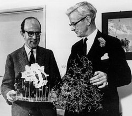 John Kendrew y Max Perutz