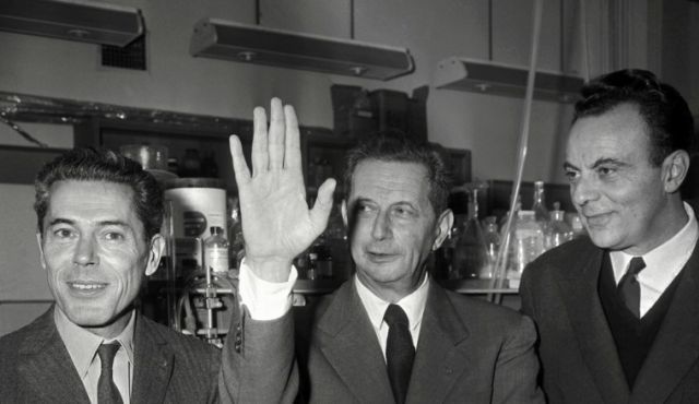 Francois Jacob, Jacques Monod y Android Lwoff