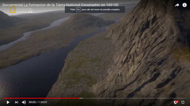 primeras plantas terrestres