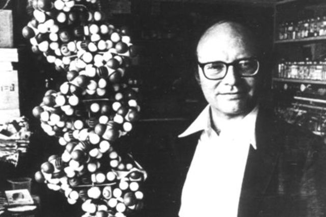 Mark Ptashne y Walter Gilbert identifican el primer gen represor