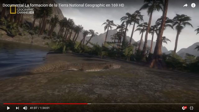 Los lagartos evolucionan