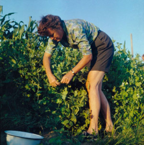 Eastman Kodak develops the Kodacolor process for making color prints from color negatives