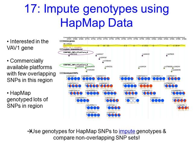 HapMap (SNPs)