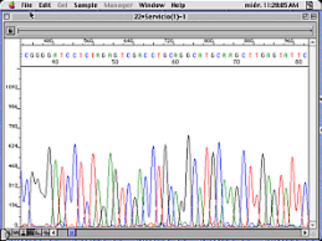 Aparece el primer secuenciador automatizado.