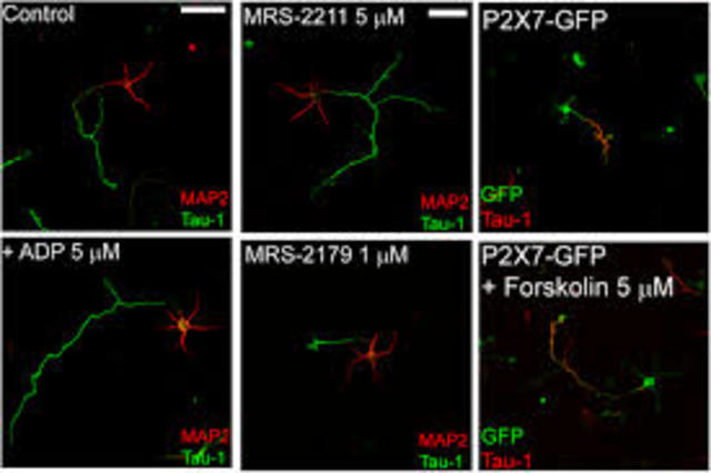 Descubrimientos generales