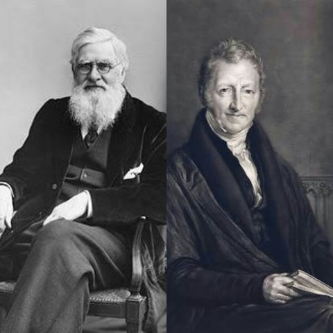 Alfred Wallace y Robert Malthus