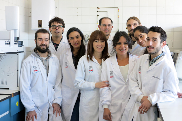 Investigadores del CSIC