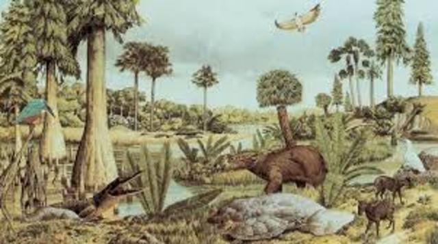 Vegetación y aparecen nuevos animales.