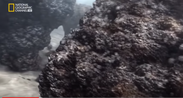 primeras partículas de oxigeno