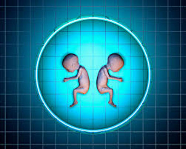 Clonacion no existosa de embriones