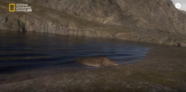 vida en tierra firme