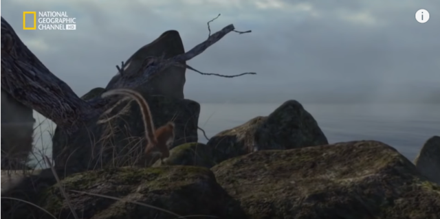 aparecen los primeros  desentiendes de los simios