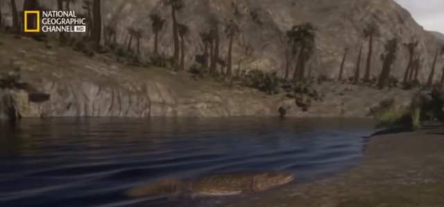 vida en tierra firme