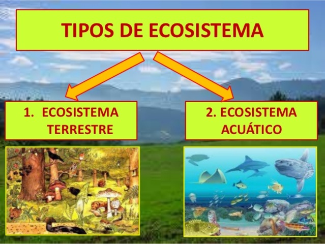 Ecosistemas