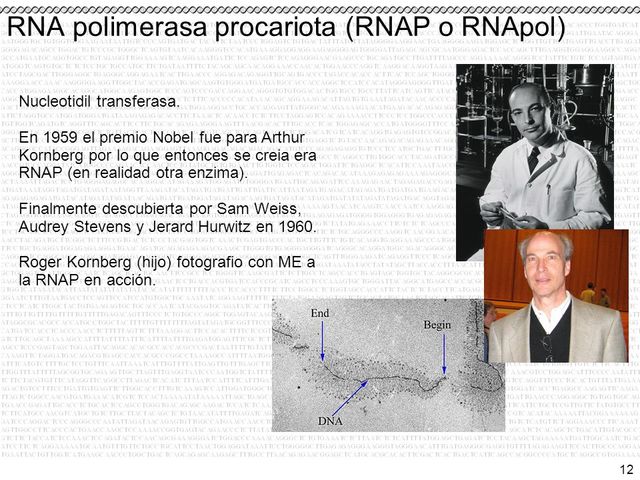 Jerard Hurwitz y Samuel Weiss.