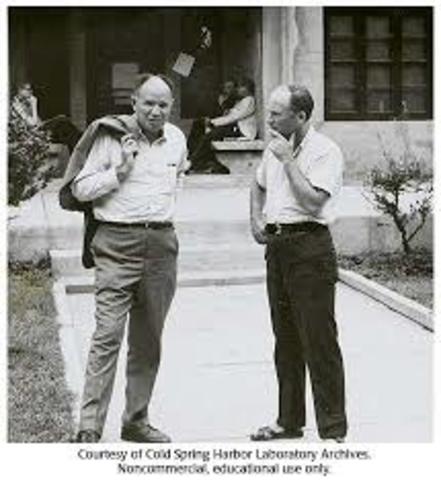 Paul Zamecnik y Mahlon Hoagland