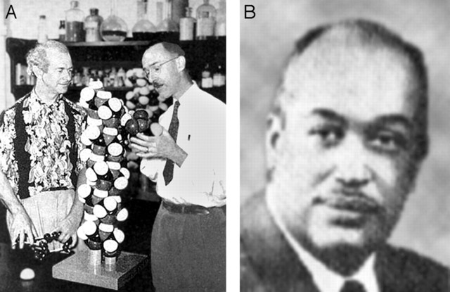 Linus Pauling y Robert Corey