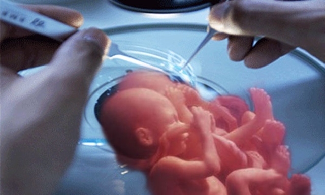 se consigue por primera vez clonar embriones humanos,  aunque el experimento no prospera.