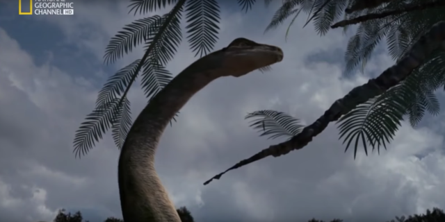 Los Dinosaurios (018).