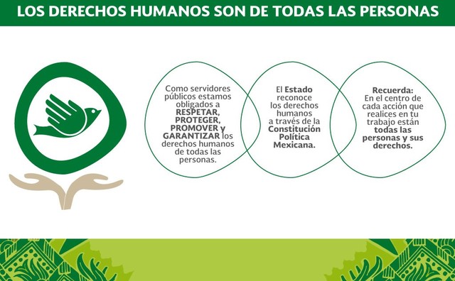 REFORMA CONSTITUCIONAL DEL 2011