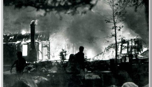 Black friday bushfire