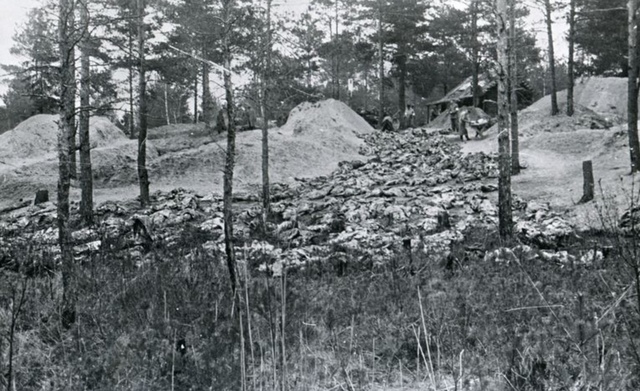 The Katyn Forest Massacre