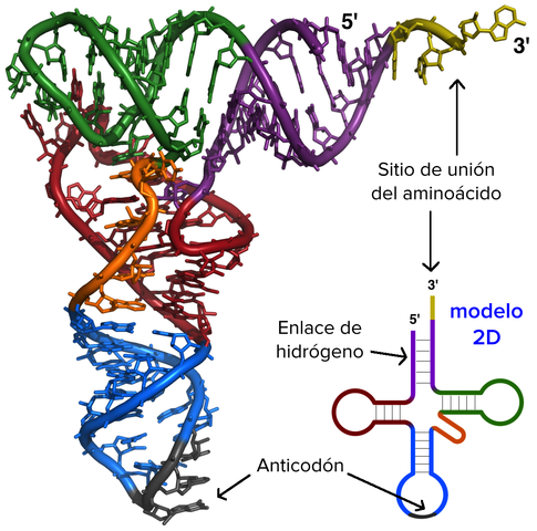 Estructura tridimencional
