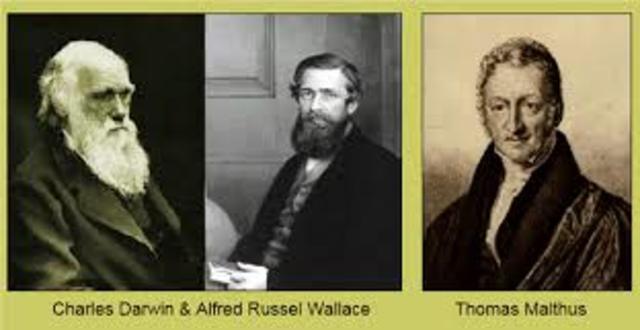 Alfred Wallace y Robert Malthus