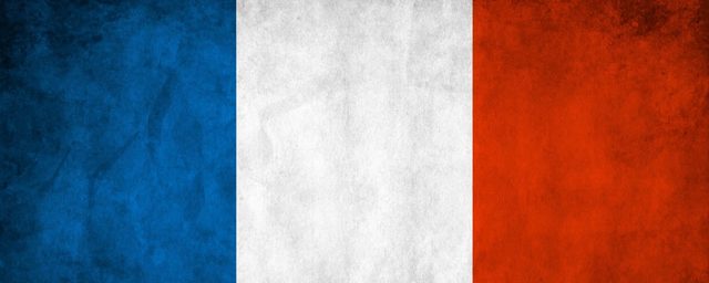 Se adopta la bandera