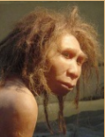 1.8 Millones de años AC: Homo georgicus
