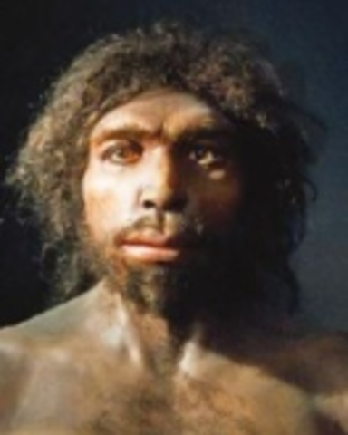 800,000 años AC: Homo antecessor