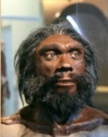 500,000 a 250,000 años AC: Homo heidelbergensis