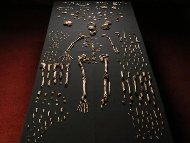 Triunfo para la humanidad.