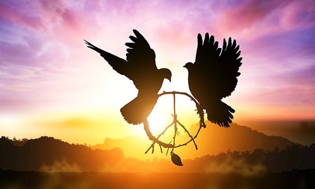 el proceso de paz en la actualidad