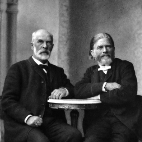 Guldberg y Waage hayan ley de Accion de las masas