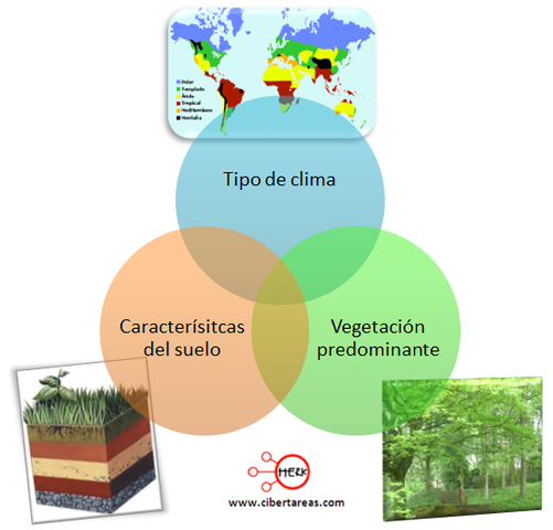 jean Baptiste caballero de Lamark