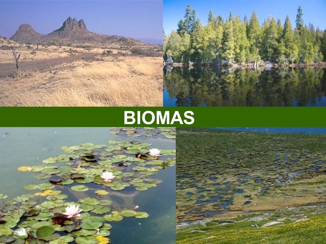 Clements y el concepto de bioma